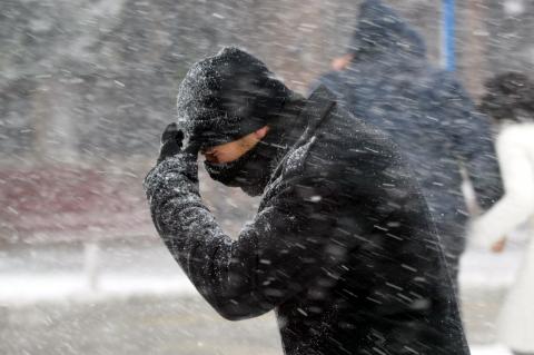 Beast from the East