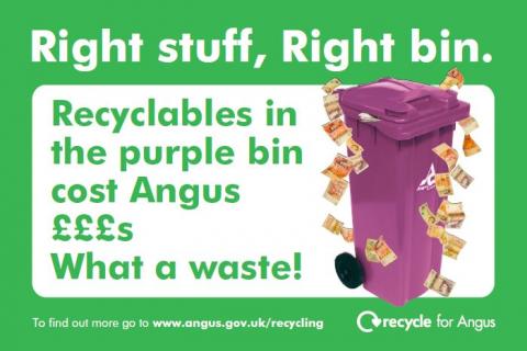 Recyclables in purple bin cost thousands