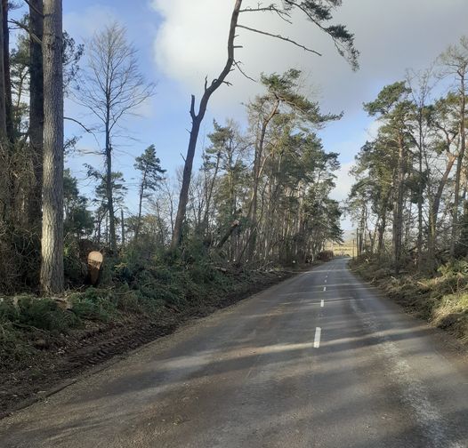 B966 Edzell road in ANgus after being cleared from fallen trees