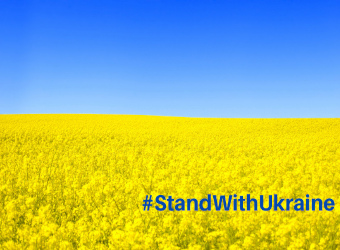 Yellow field with blue sky - symbol of Ukraine flag