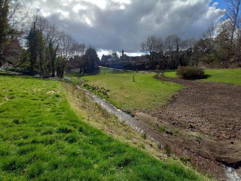 Nature restoration work at Brechin Den
