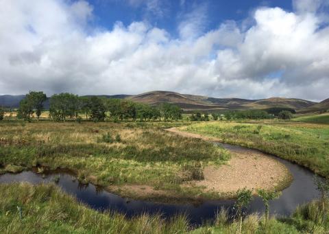 Restoring the Rottal Burn