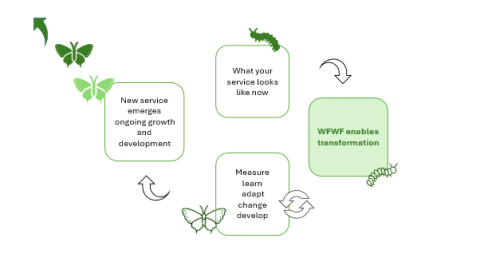 wfwf and transformation