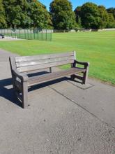 Elmwood bench