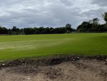 rugby pitch grass